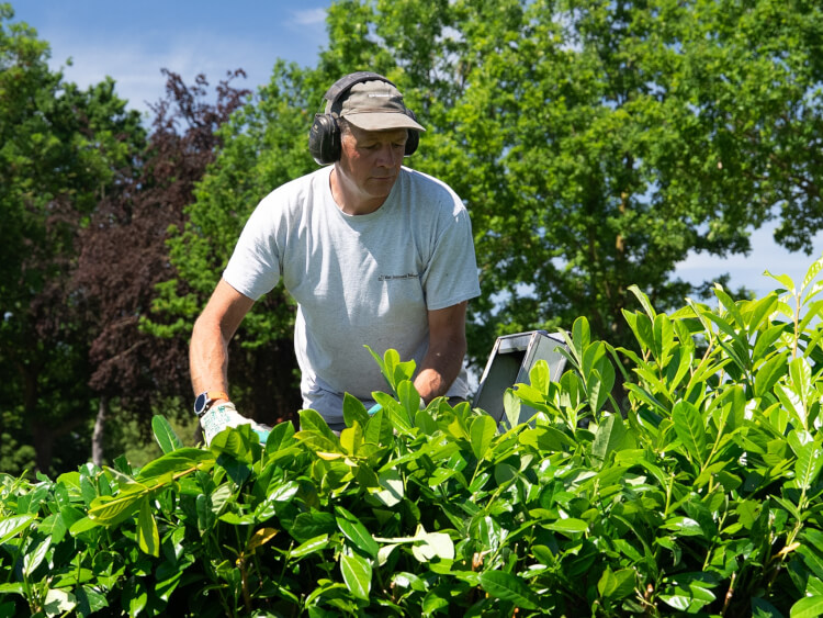 Werknemer van Van Jaarsveld Tuinen snoeit een haag tijdens professioneel tuinonderhoud.